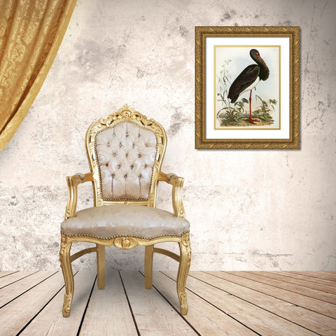 Black Stork Gold Ornate Wood Framed Art Print with Double Matting by Selby, John Prideaux