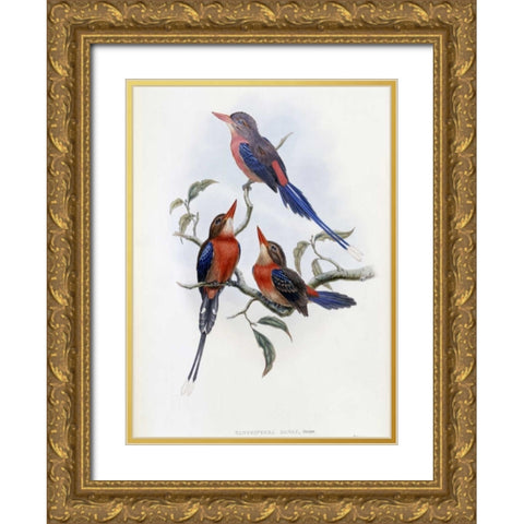 Crimson and Brown Kingfisher Gold Ornate Wood Framed Art Print with Double Matting by Glover, John