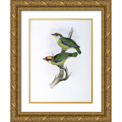 Franklins Barbet Gold Ornate Wood Framed Art Print with Double Matting by Gould, John