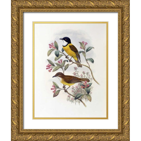 Ramsays Thickhead Gold Ornate Wood Framed Art Print with Double Matting by Glover, John