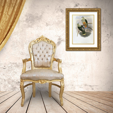 Richards Fruit-Pigeon Gold Ornate Wood Framed Art Print with Double Matting by Gould, John