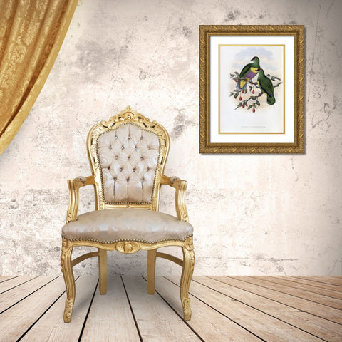 Solomon-Island Fruit-Pigeon Gold Ornate Wood Framed Art Print with Double Matting by Gould, John