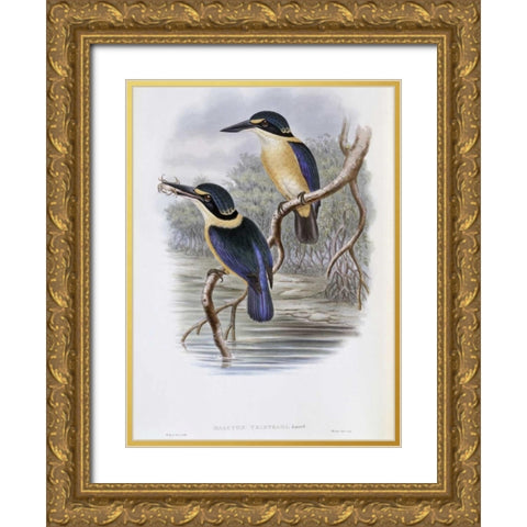 Tristrams Kingfisher Gold Ornate Wood Framed Art Print with Double Matting by Glover, John