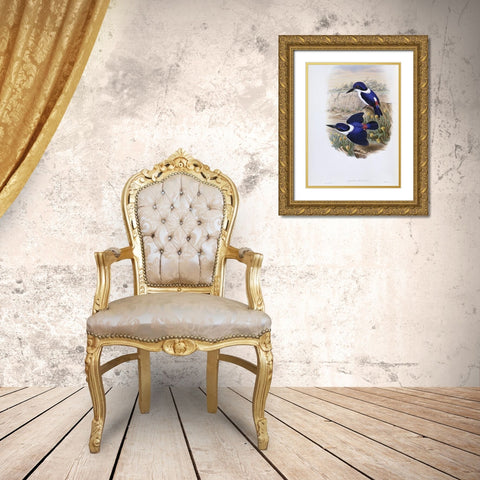 White-Backed Kingfisher Gold Ornate Wood Framed Art Print with Double Matting by Gould, John