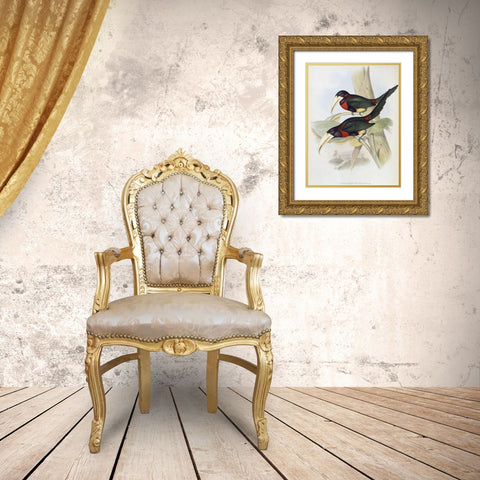 Yellow-Billed Aracari (Toucan) Gold Ornate Wood Framed Art Print with Double Matting by Gould, John