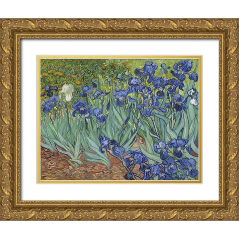 Irises, 1889 Gold Ornate Wood Framed Art Print with Double Matting by Van Gogh, Vincent