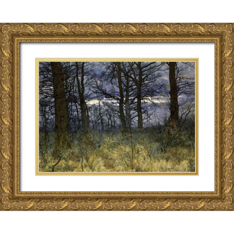 The Woods at Dusk Gold Ornate Wood Framed Art Print with Double Matting by Garden, William Fraser