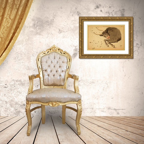 Taurus the Bull, 1825 Gold Ornate Wood Framed Art Print with Double Matting by Aspin, Jehoshaphat