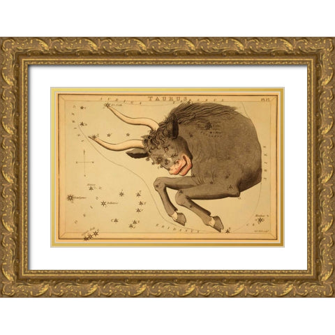 Taurus the Bull, 1825 Gold Ornate Wood Framed Art Print with Double Matting by Aspin, Jehoshaphat
