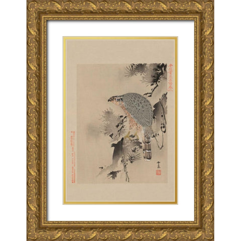 Hawk Gold Ornate Wood Framed Art Print with Double Matting by Unknown