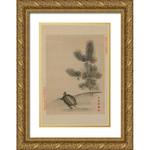 Turtle Gold Ornate Wood Framed Art Print with Double Matting by Unknown