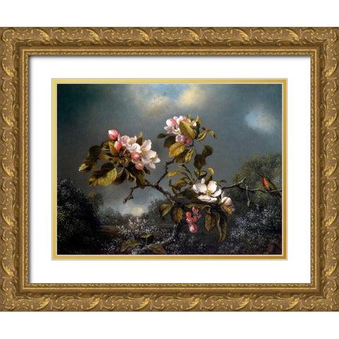 Apple Blossom And Hummingbird Gold Ornate Wood Framed Art Print with Double Matting by Heade, Martin Johnson