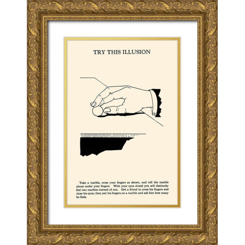 Try This Illusion Gold Ornate Wood Framed Art Print with Double Matting by Retromagic