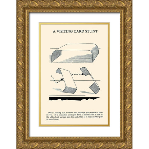 A Visiting Card Stunt Gold Ornate Wood Framed Art Print with Double Matting by Retromagic