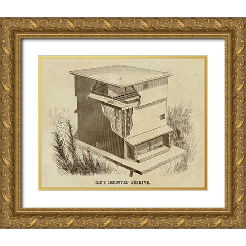 Ides Improved Beehive Gold Ornate Wood Framed Art Print with Double Matting by Inventions