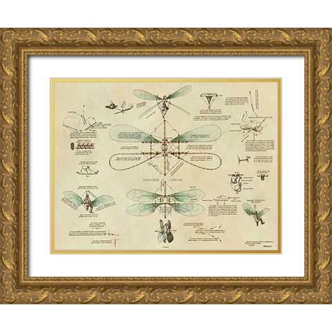 Airborne Bicycle Gold Ornate Wood Framed Art Print with Double Matting by Inventions