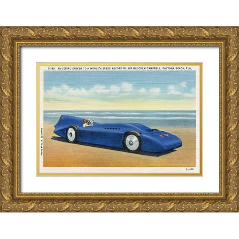 BlueBird 5 Gold Ornate Wood Framed Art Print with Double Matting by Retrotravel