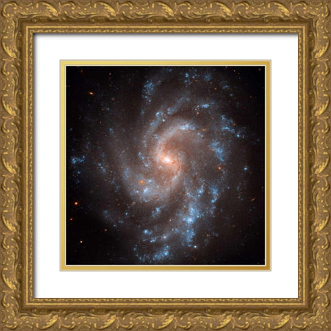 NGC 5584 Gold Ornate Wood Framed Art Print with Double Matting by NASA