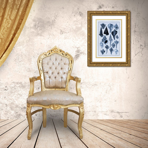 Shells: Trachelipoda #4 (Blue) Gold Ornate Wood Framed Art Print with Double Matting by Sowerby, G.B.