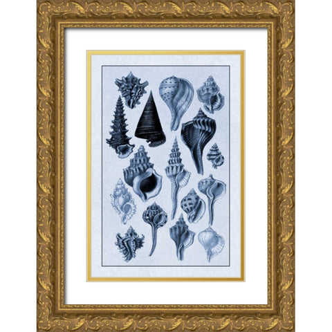 Shells: Trachelipoda #4 (Blue) Gold Ornate Wood Framed Art Print with Double Matting by Sowerby, G.B.