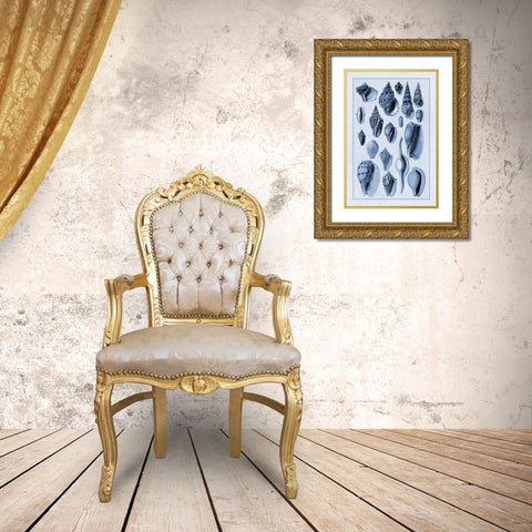 Shells: Trachelipoda #6 (Blue) Gold Ornate Wood Framed Art Print with Double Matting by Sowerby, G.B.