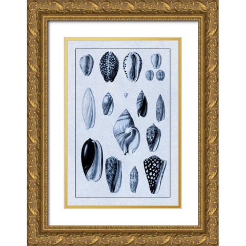 Shells: Convoltae and Orthocerata (Blue) Gold Ornate Wood Framed Art Print with Double Matting by Sowerby, G.B.