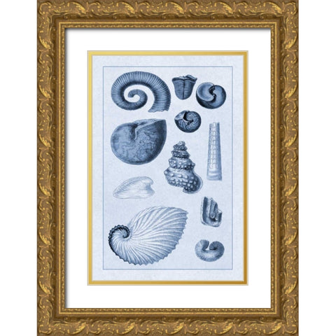 Shells: Ammonacea (Blue) Gold Ornate Wood Framed Art Print with Double Matting by Sowerby, G.B.