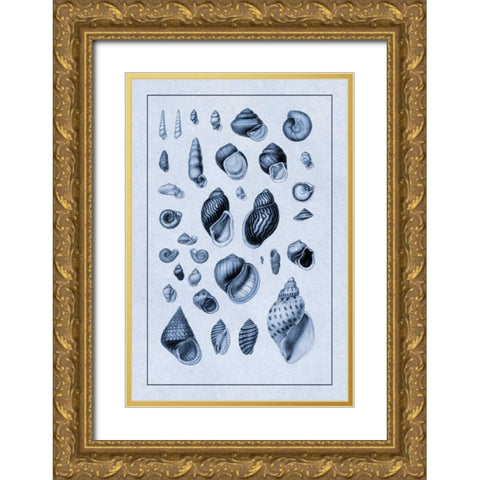 Shells: Sessile Cirripedes #2 (Blue) Gold Ornate Wood Framed Art Print with Double Matting by Sowerby, G.B.