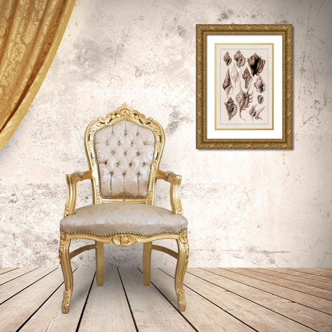 Shells: Trachelipoda #5 (Sepia) Gold Ornate Wood Framed Art Print with Double Matting by Sowerby, G.B.