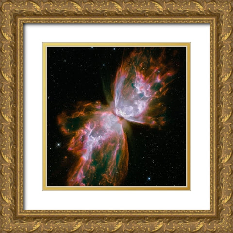 Butterfly Nebula (square) Gold Ornate Wood Framed Art Print with Double Matting by NASA