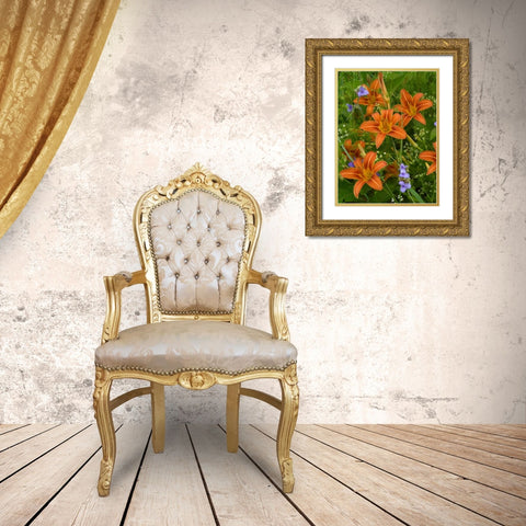 Orange Daylily with Virginia Spiderwort North America Gold Ornate Wood Framed Art Print with Double Matting by Fitzharris, Tim