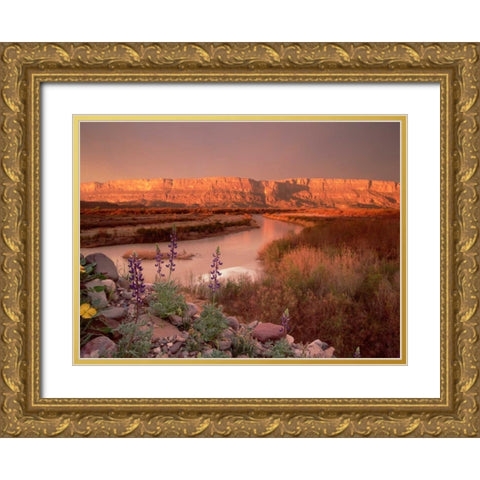 Sierra Ponce and Rio Grande, Big Bend National Park, Texas Gold Ornate Wood Framed Art Print with Double Matting by Fitzharris, Tim