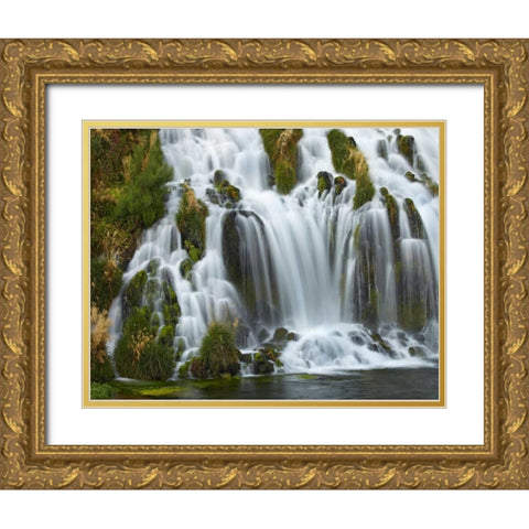 Waterfall, Niagara Springs, Thousand Springs State Park, Idaho. Gold Ornate Wood Framed Art Print with Double Matting by Fitzharris, Tim