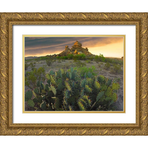 Opuntia and hoodoos, Big Bend National Park, Chihuahuan Desert, Texas Gold Ornate Wood Framed Art Print with Double Matting by Fitzharris, Tim