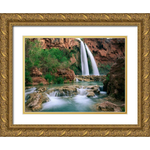 Havasu Creek, lined with Cottonwood trees, Havasu Falls, Grand Canyon, Arizona Gold Ornate Wood Framed Art Print with Double Matting by Fitzharris, Tim