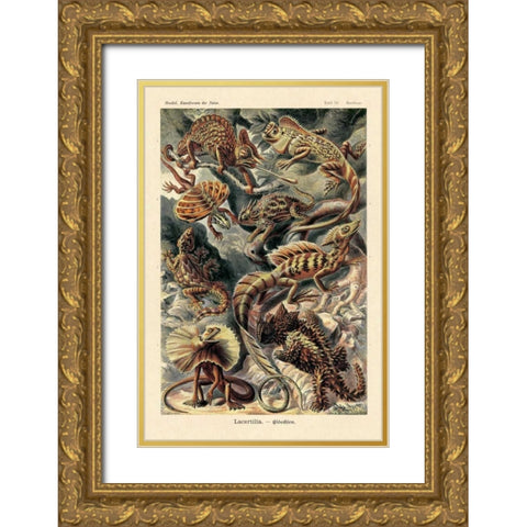 Haeckel Nature Illustrations: Lizards Gold Ornate Wood Framed Art Print with Double Matting by Haeckel, Ernst