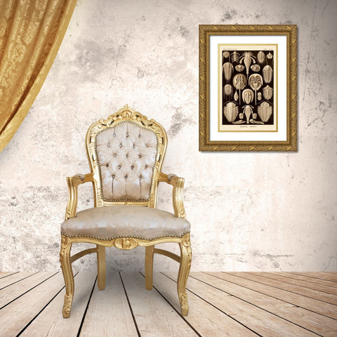 Haeckel Nature Illustrations: Athropods - Sepia Tint Gold Ornate Wood Framed Art Print with Double Matting by Haeckel, Ernst