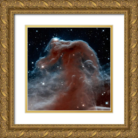 Horsehead Nebula, Infrared View Gold Ornate Wood Framed Art Print with Double Matting by NASA