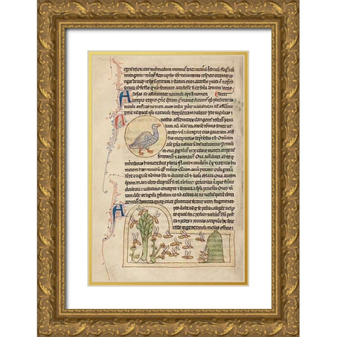 A Duck; Bees Gold Ornate Wood Framed Art Print with Double Matting by English 13th Century