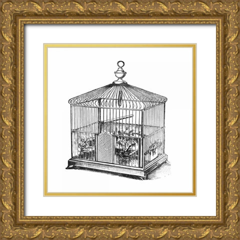 Etchings: Birdcage - Onion peak top, floral base. Gold Ornate Wood Framed Art Print with Double Matting by Catalog Illustration