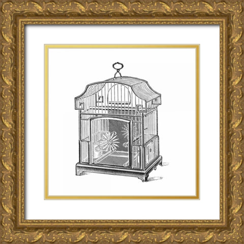 Etchings: Birdcage - Gable top, daisy base. Gold Ornate Wood Framed Art Print with Double Matting by Catalog Illustration