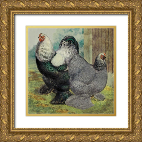 Chickens: Dark Brahmas Gold Ornate Wood Framed Art Print with Double Matting by Wright, Lewis