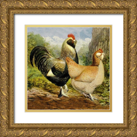 Chickens: Salmon Faverolles Gold Ornate Wood Framed Art Print with Double Matting by Wright, Lewis