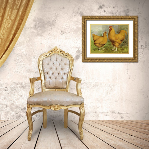 Chickens: Buff Orpingtons Gold Ornate Wood Framed Art Print with Double Matting by Wright, Lewis