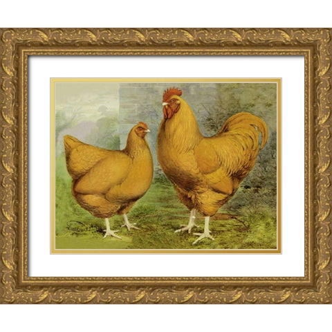 Chickens: Buff Orpingtons Gold Ornate Wood Framed Art Print with Double Matting by Wright, Lewis
