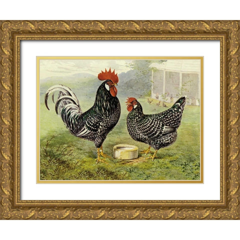 Chickens: Anconas Gold Ornate Wood Framed Art Print with Double Matting by Wright, Lewis