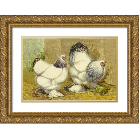 Chickens: Light Brahmas Gold Ornate Wood Framed Art Print with Double Matting by Wright, Lewis