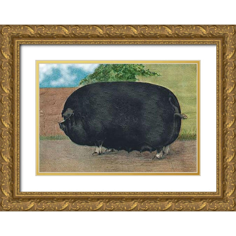 Pigs and Pork: Champion Sow Gold Ornate Wood Framed Art Print with Double Matting by Advertisement