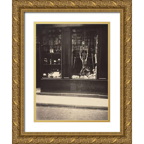 Zoologists Shop Gold Ornate Wood Framed Art Print with Double Matting by Atget, Eugene