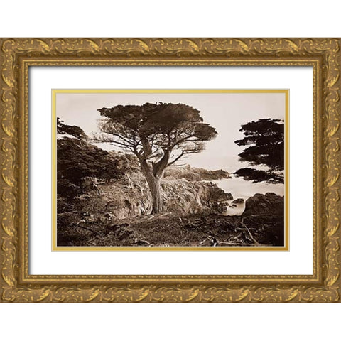 Cypress Point, Monterey, California, about 1880s Gold Ornate Wood Framed Art Print with Double Matting by Watkins, Carleton